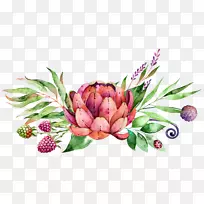 水彩画花肉质植物-空若网 水彩画花肉质植物-空若网