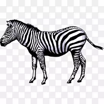 斑马动画剪辑艺术.卡通元素-空若网 斑马动画剪辑艺术.卡通元素-空若网