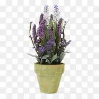 Ó¢¹úÞ¹Ò²ݷ¨¹úÞ¹Ò²ݻ¨Åè-¿ÕÈôÍø Ó¢¹úÞ¹Ò²ݷ¨¹úÞ¹Ò²ݻ¨Åè-¿ÕÈôÍø