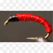 蠕虫特写奇迹-空若网 蠕虫特写奇迹-空若网