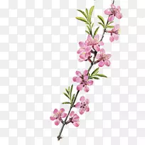 花卉设计-卡通斋月设计-空若网 花卉设计-卡通斋月设计-空若网