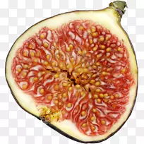 任务无花果黄蜂哭泣无花果-空若网 任务无花果黄蜂哭泣无花果-空若网