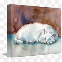 胡须水彩画小猫肖像画猫水彩画-空若网 胡须水彩画小猫肖像画猫水彩画-空若网