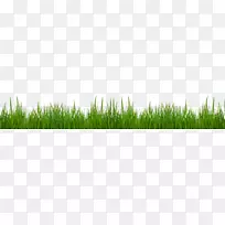 ��ţȮ�����˹����������ݮ�����Ѹɣ�����ݣ�PNGͼƬ����-������