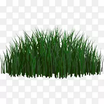 ������-�̲�-������