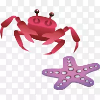 海星插图-蟹海星PNG载体材料-空若网 海星插图-蟹海星PNG载体材料-空若网