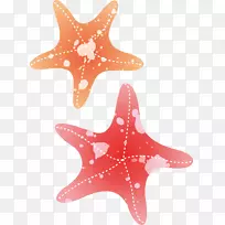 ���ǻ�ˮ�ʻ�-����-������