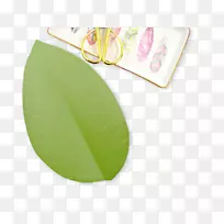 ֽ��Ҷ������������������-Ҷ������-������