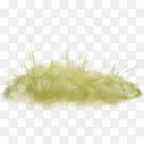 近距离绿草-空若网 近距离绿草-空若网