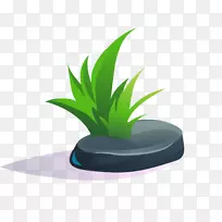 ���̲�-������