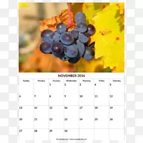 普通葡萄藤酒葡萄籽油水果不规则边界-空若网 普通葡萄藤酒葡萄籽油水果不规则边界-空若网