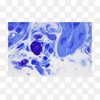 桌面壁纸有机体水计算机图案-不规则边界-空若网 桌面壁纸有机体水计算机图案-不规则边界-空若网