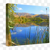 水资源喷绘生态湖草.环境-空若网 水资源喷绘生态湖草.环境-空若网