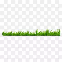 图标草-空若网 图标草-空若网