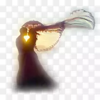 新年婚礼祝福爱情婚礼-空若网 新年婚礼祝福爱情婚礼-空若网