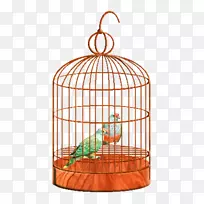 鸟笼鹦鹉-鹦鹉-空若网 鸟笼鹦鹉-鹦鹉-空若网