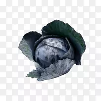 红色卷心菜包心菜菜花蔬菜卷心菜蔬菜-空若网 红色卷心菜包心菜菜花蔬菜卷心菜蔬菜-空若网