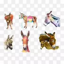 水彩画毛驴手绘驴-空若网 水彩画毛驴手绘驴-空若网