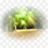 Lofter博客山水画阳光-空若网 Lofter博客山水画阳光-空若网