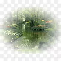 ���벩�������ֽ-������