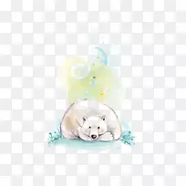 北极熊大比利牛斯图-北极熊-空若网 北极熊大比利牛斯图-北极熊-空若网