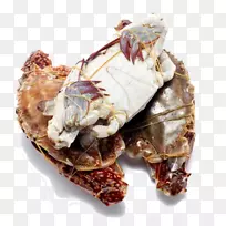 �޵˿�з������з-Ұ���з����-������