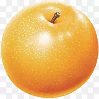 ������xd 7��-������