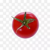 李番茄樱桃番茄灌木番茄红柿子-空若网 李番茄樱桃番茄灌木番茄红柿子-空若网