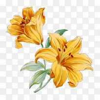 �ٺϻ�ˮ�ʻ�-���ػ�԰��-������