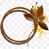 ����＾������ͼ-�＾-������