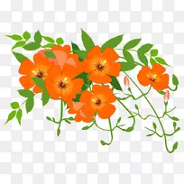 花型设计小角藤野营花花-空若网 花型设计小角藤野营花花-空若网