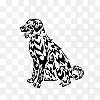 犬种达马提亚犬拉布拉多猎犬澳大利亚牧羊犬剪贴画诚实犬-空若网 犬种达马提亚犬拉布拉多猎犬澳大利亚牧羊犬剪贴画诚实犬-空若网