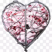 Rinigungswasser��Ӱ����-���۵���-������