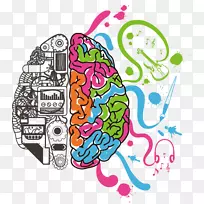 人脑功能的偏侧化人脑科学手绘脑-空若网 人脑功能的偏侧化人脑科学手绘脑-空若网