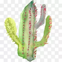 ÏÉÈËÕÆ¿ÆÈâÖÊÖ²Îï-ÏÉÈËÕÆ-¿ÕÈôÍø ÏÉÈËÕÆ¿ÆÈâÖÊÖ²Îï-ÏÉÈËÕÆ-¿ÕÈôÍø