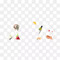 食用橄榄油水果-鸡蛋肉食橄榄油-空若网 食用橄榄油水果-鸡蛋肉食橄榄油-空若网