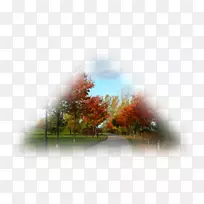 桌面壁纸风景自然摄影电脑显示器-空若网 桌面壁纸风景自然摄影电脑显示器-空若网