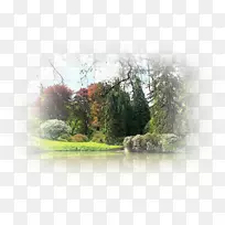 山水画今夜自然博客-空若网 山水画今夜自然博客-空若网