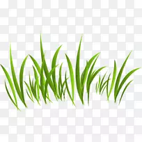 ŷ���̲�-������