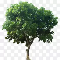 â����������-����-������