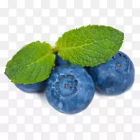 蓝莓茶越橘叶摄影.蓝莓-空若网 蓝莓茶越橘叶摄影.蓝莓-空若网