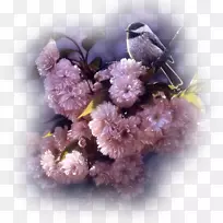 ˮ�ʻ�����-������