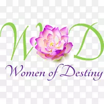 埃及莲藕摄影,帕德玛花-空若网 埃及莲藕摄影,帕德玛花-空若网