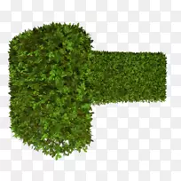 绿树树-空若网 绿树树-空若网