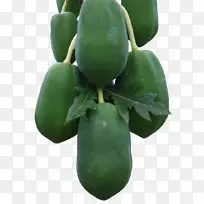 番木瓜果蔬-绿色番木瓜-空若网 番木瓜果蔬-绿色番木瓜-空若网