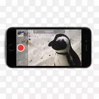 iPhone�����ֻ�������Ƶ-�ر�-������