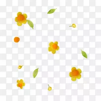 花瓣博客-空若网 花瓣博客-空若网