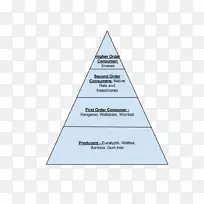 三角形面积金字塔图-广阔的空间-空若网 三角形面积金字塔图-广阔的空间-空若网