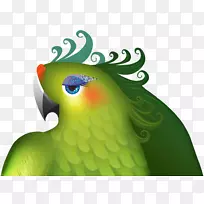 ���ް������ģ��������ڱ�Ե-������-������