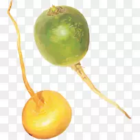 蔬菜萝卜-空若网 蔬菜萝卜-空若网